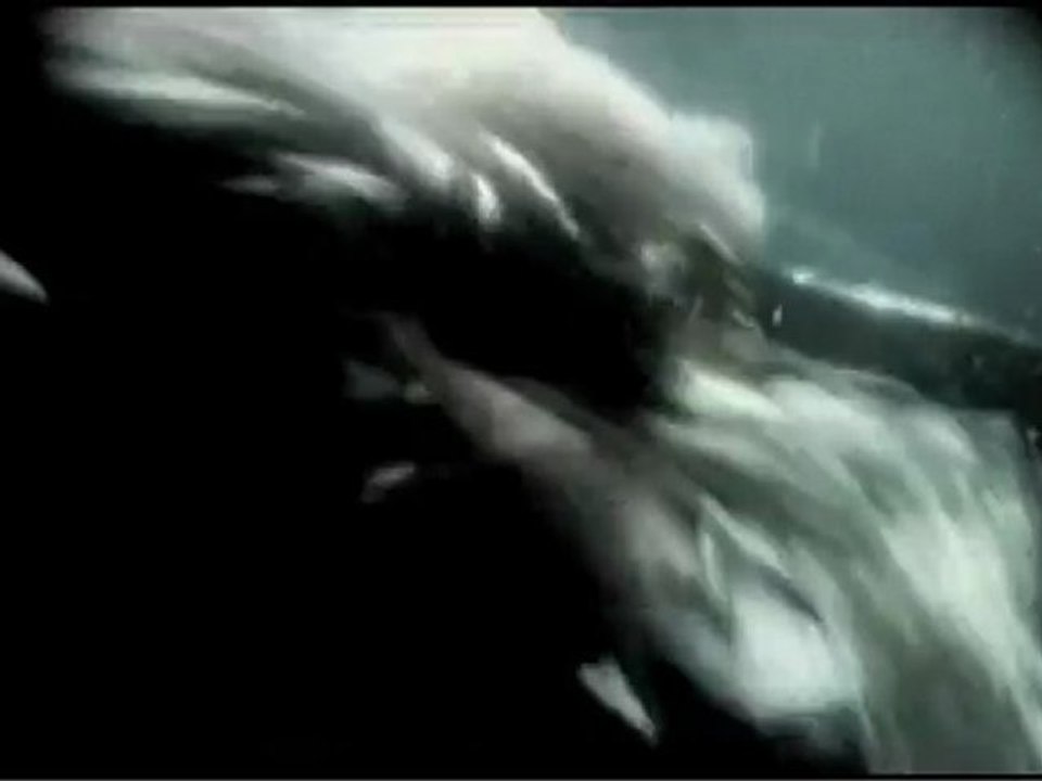 IN STRICT CONFIDENCE 'The harder they come...' (Hecq Remix)