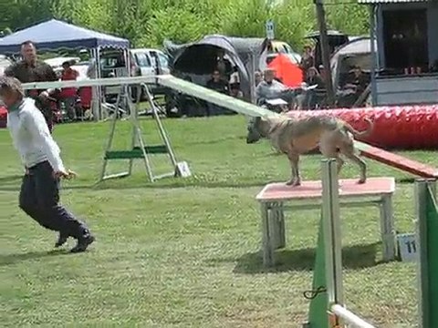 concours d'agility du subdray le 02-05-2010 100