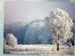 Montreal, Canada - The place for snow lovers to gather.