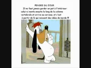 gris-bouille et la meute