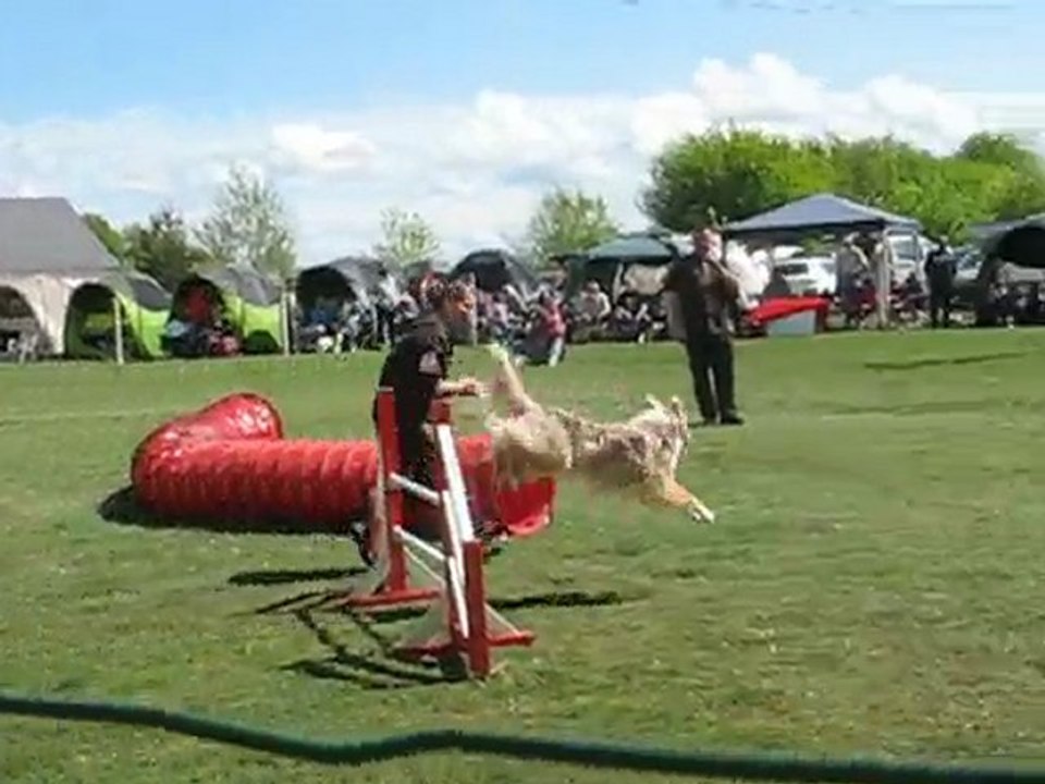 concours d'agility du subdray le 02-05-2010 103