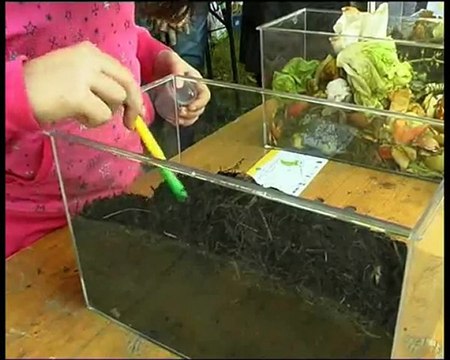 Jardins de ville Jardin de Vie