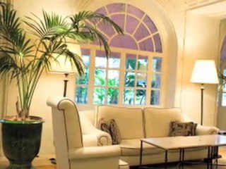 Artificial Plants and Trees Miami