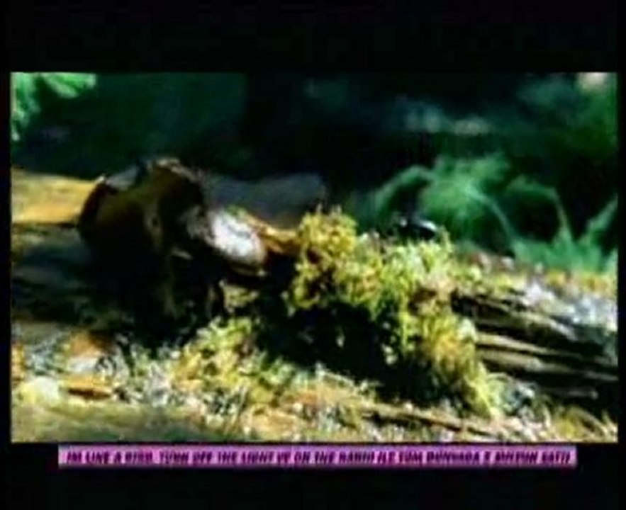 Nelly Furtado  - "Benim Annem Bir Star"