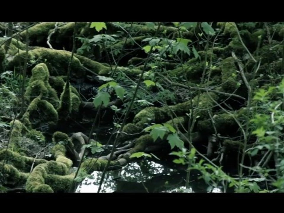 See in the Street  - 5 -  Loin de la Rue