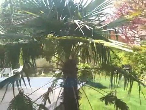 Immobilier, St Germain les Corbeil, pavillon à vendre golf