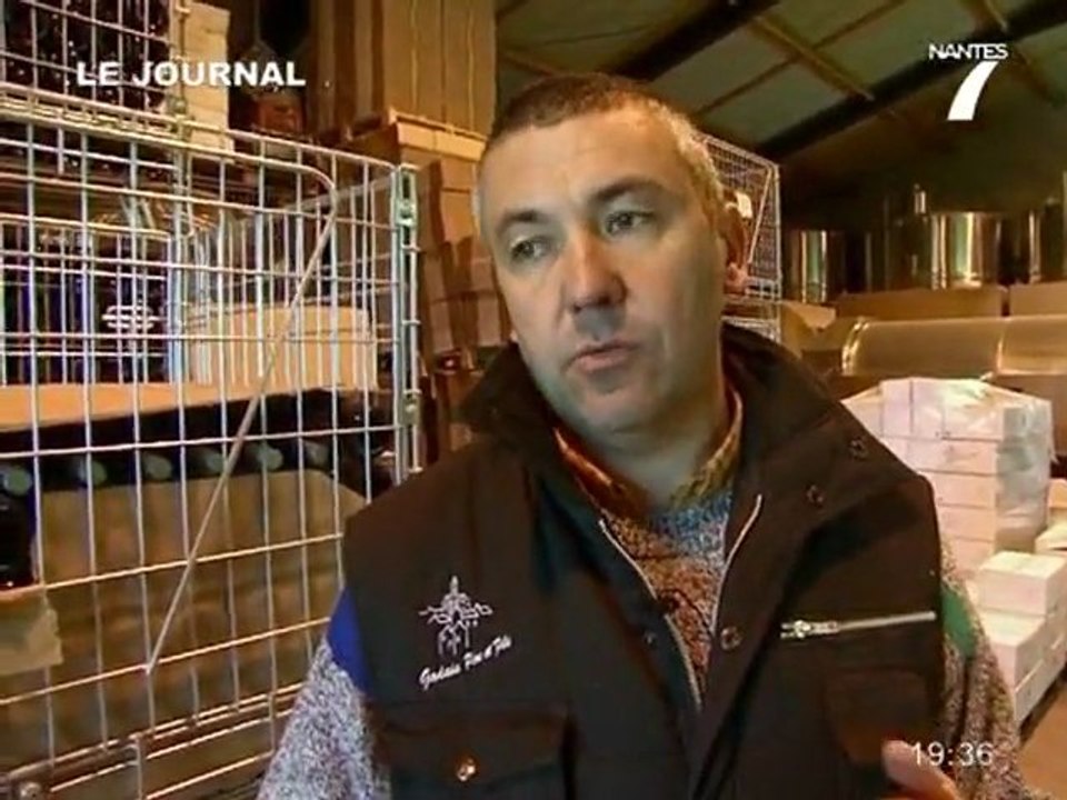 L'avenir de la filière viticole (Saint-Fiacre-sur-Maine)