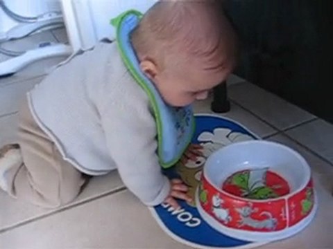 Quentin marche à 4 pattes et fait des bêtises!