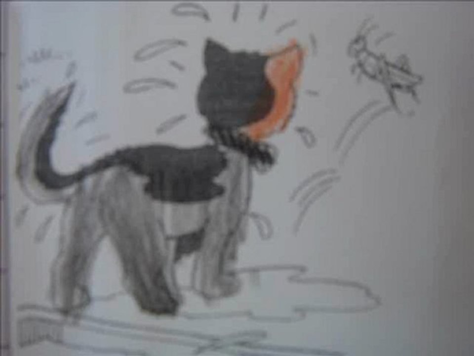 le chat et la sauterelle 2 stvn