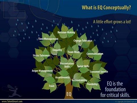 Travis Bradberry - Emotional Intelligence and the Brain
