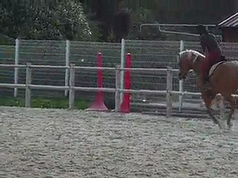 THE GOLD FOX etalon PS 4ans