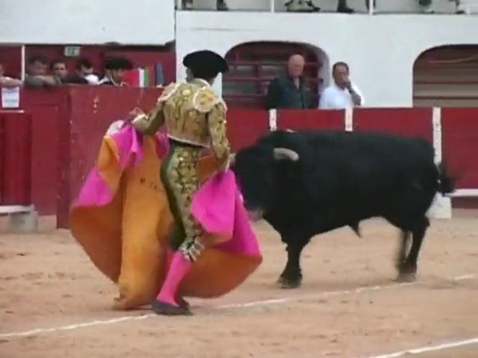FÉRIA DE LA MER  à PALAVAS-LES-FLOTS (Corrida)
