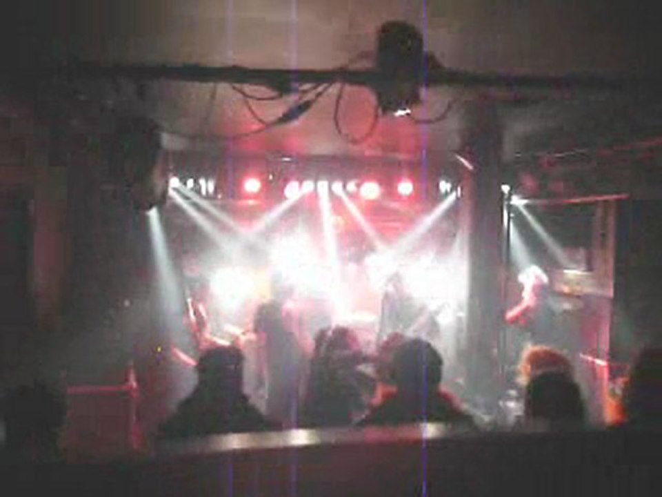 DDT - l'ordre_des_primates