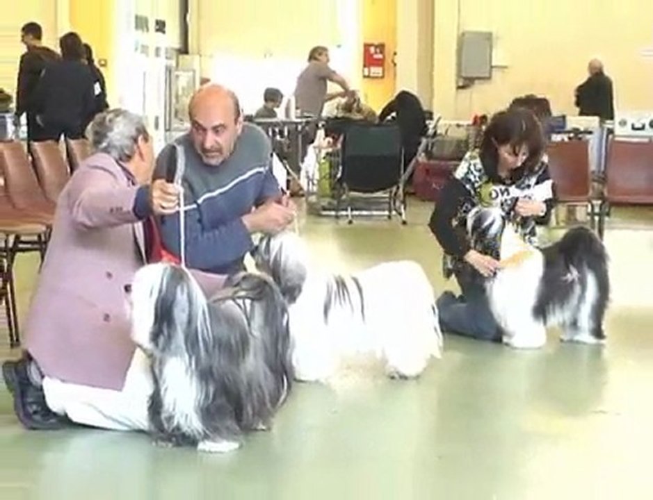 Nationale d' Elevage  du CCTF Orleans 2010