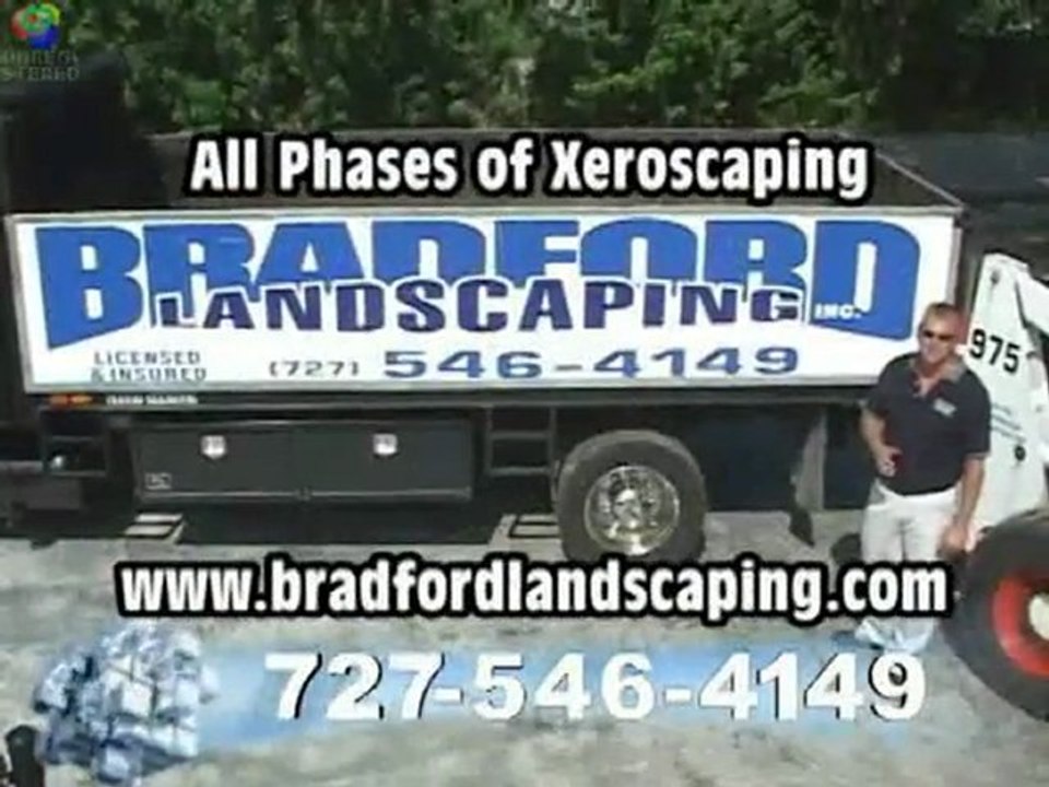 Xeriscape Ideas