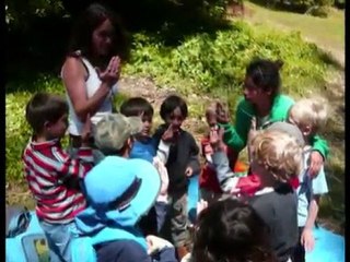 Tree Frog Treks Summer Camp
