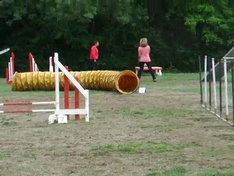 Tango agility 3 degré Sélectif Régional 2010