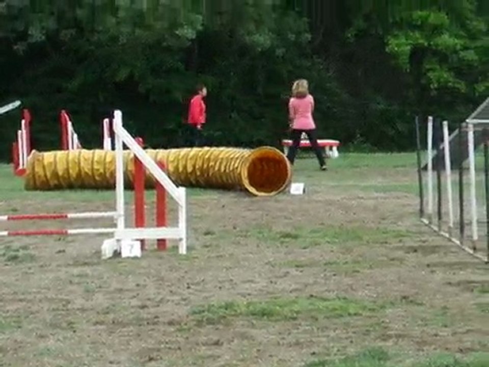 Tango agility 3 degré Sélectif Régional 2010