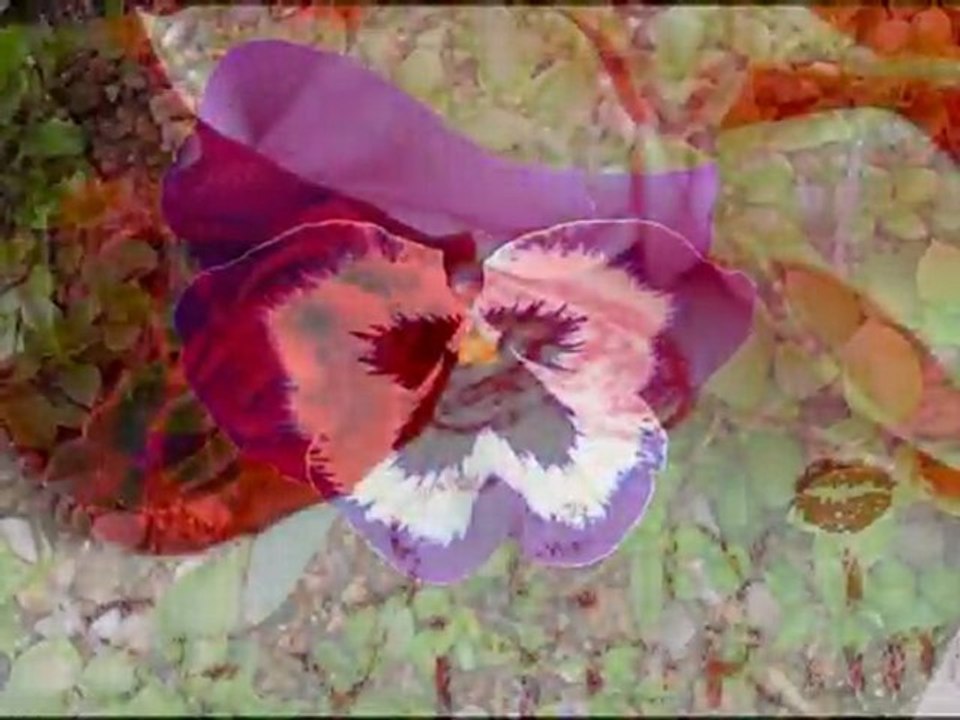 canımın içi bir tanem