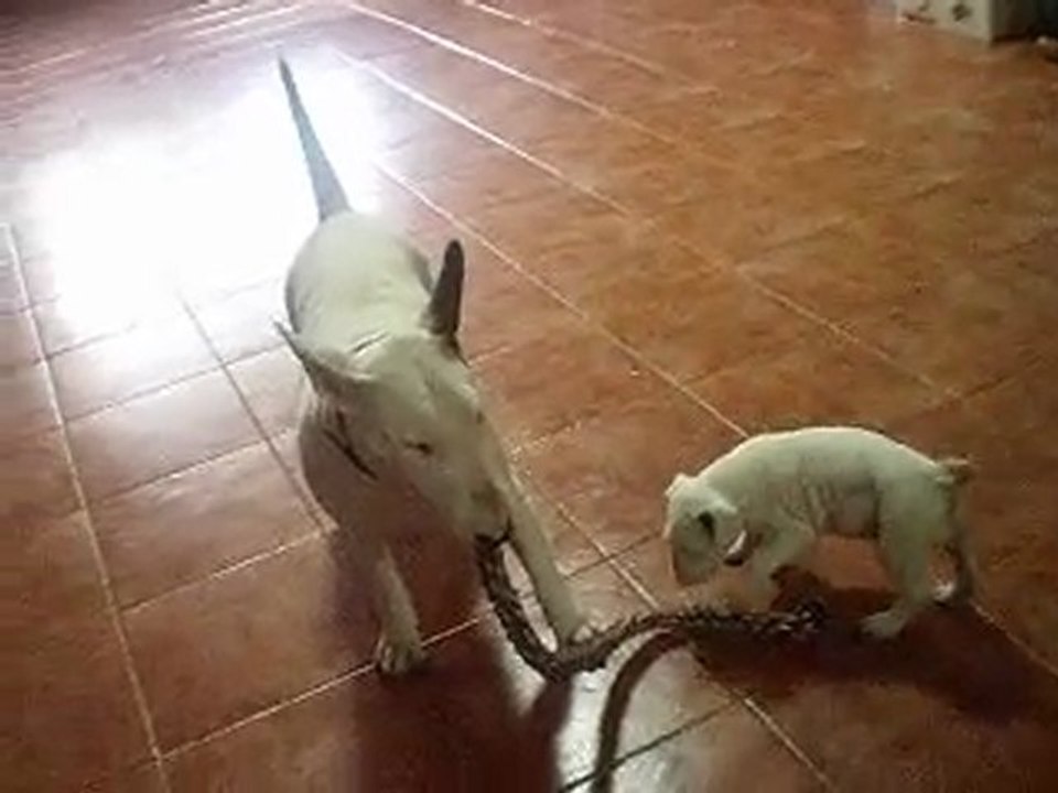 Jugando con cuerda II