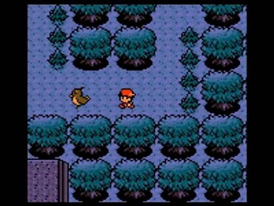 wt pokémon argent 07- La vidéo maudite