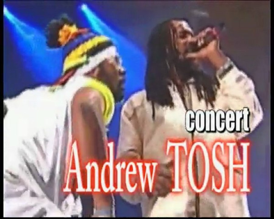 LA NUIT DU REGGAE MICHEAL ROSE ANDREW TOSH RASITES IRIE CREW