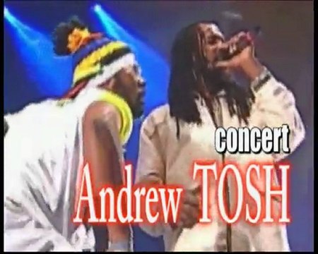 LA NUIT DU REGGAE MICHEAL ROSE ANDREW TOSH RASITES IRIE CREW