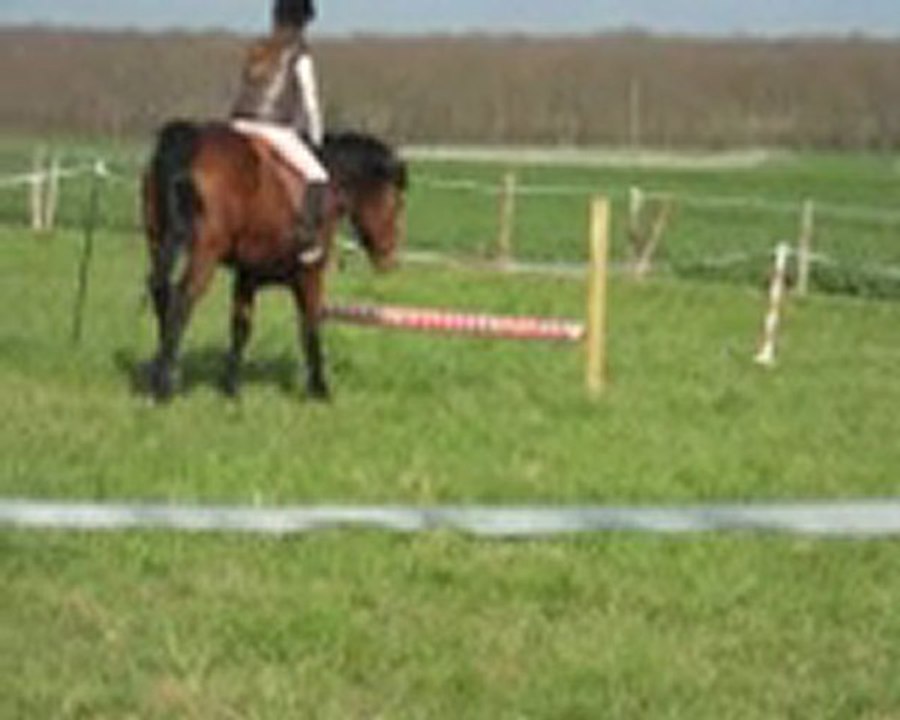 in the wind et camille en saut