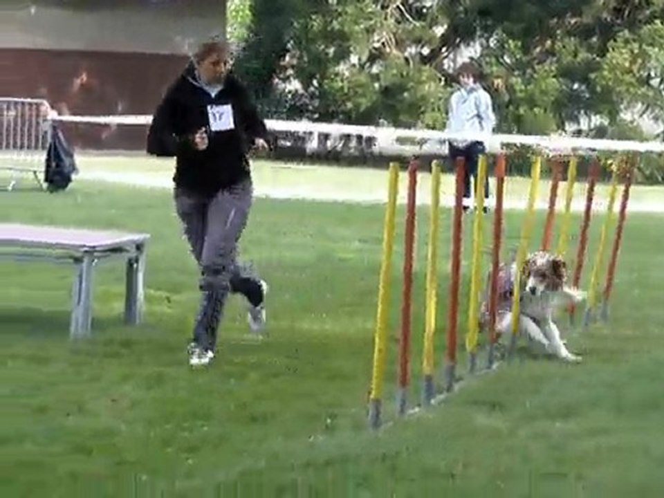 ALFI OPEN