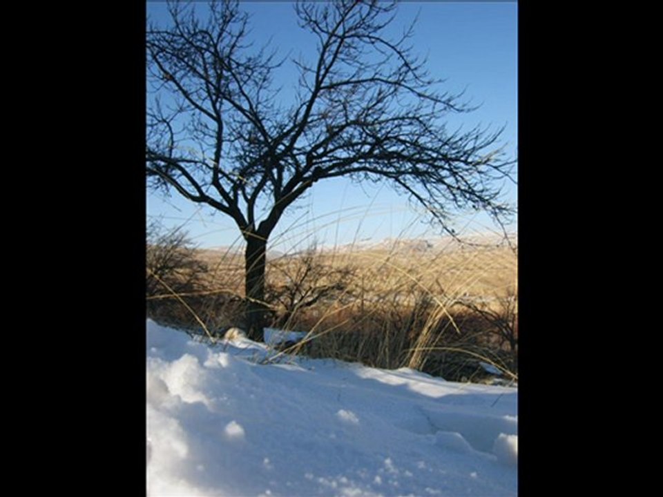 gönül ferman dinlemiyor barış manço