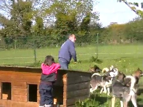 Détente dans le parc des chiens mai 2010