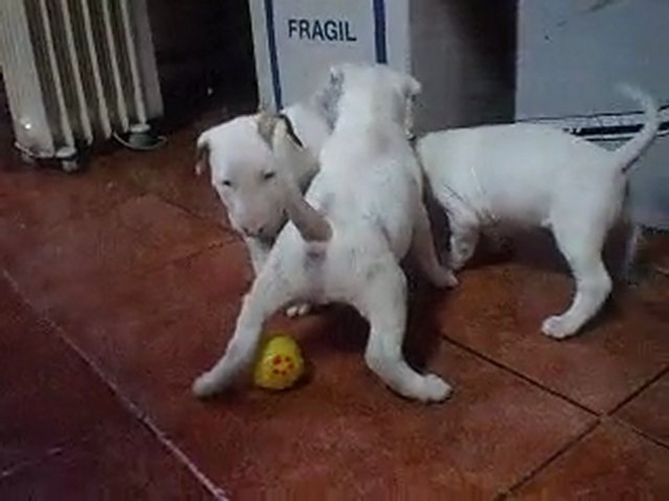 Y la pelota??