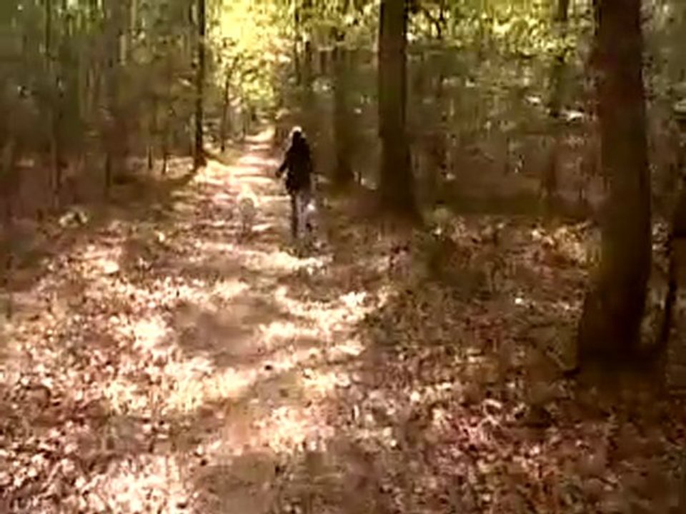 Easy en forêt