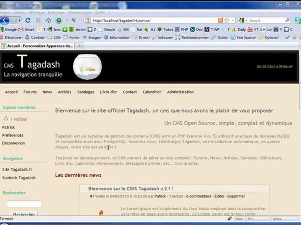 Personnaliser l'Apparence du CMS Tagadash