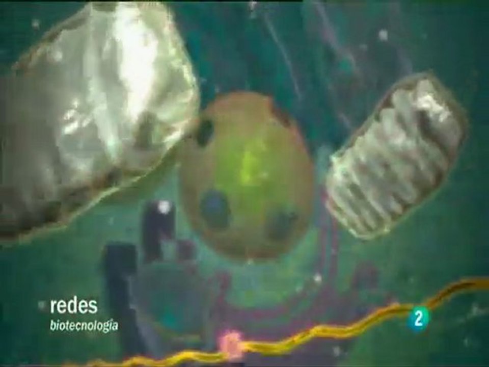 Genomica vs. proteomica