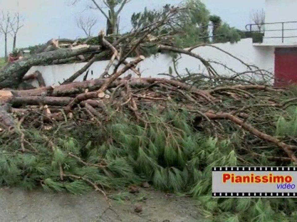 Tempete Landes 2009 commune d' Estibeaux