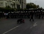 Anche un cane protesta ad Atene