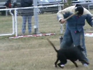 cassia face cote bleue