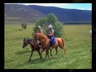 Riding Chaps - Comfortable Horse Riding