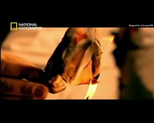 Mafia... Quelle Mafia ? Découvrez la Vérité derrière le Mythe (1)