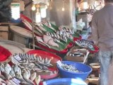 Le marché aux poissons