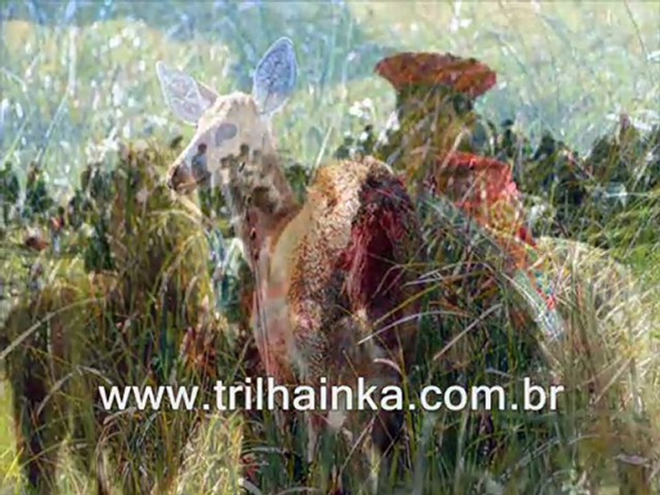 TRILHA INCA52