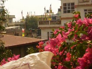 A bitter sweet taste of Kathmandu