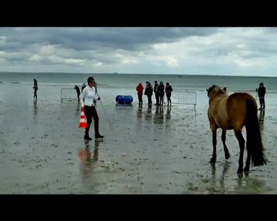 demo dolly, combrit mai 2010