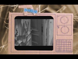 Ninja (version test TV Carton)