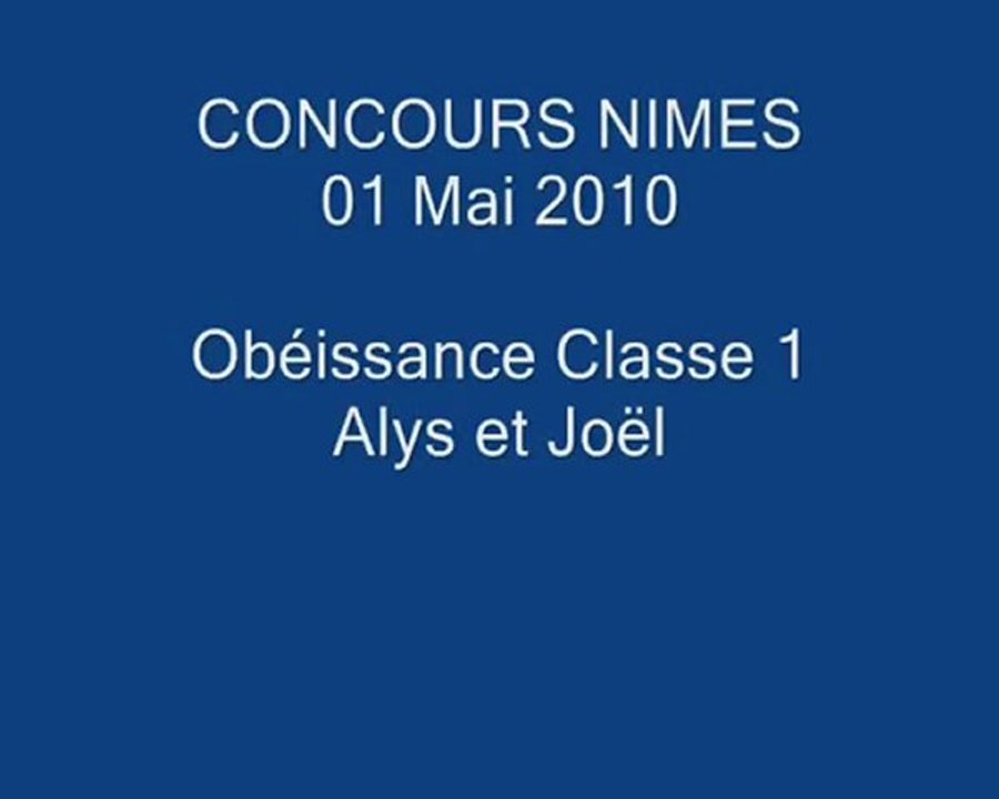 concours d'obéissance Nîmes Classe 1 Alys/Joël