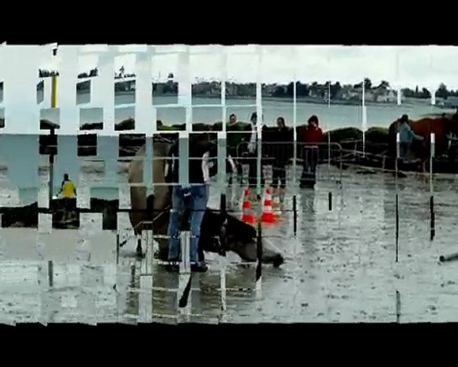 demo elise, combrit mai 2010