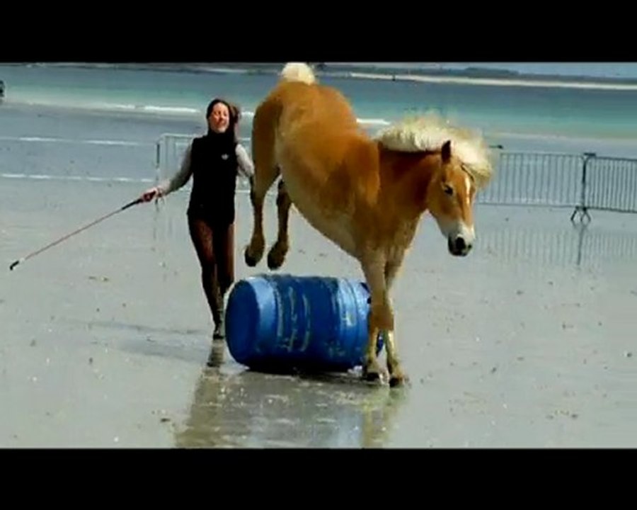 demo pauline, combrit mai 2010