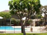 Brighton Park Apartments in Claremont, CA - ForRent.com