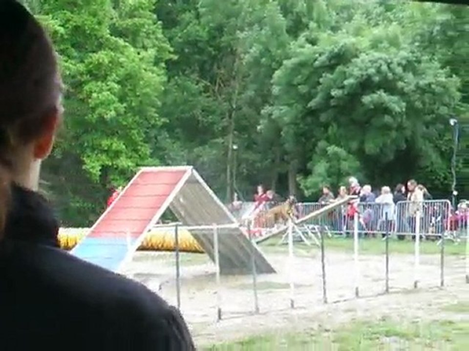 Chamane 1er degré Sélectif Régional 2010